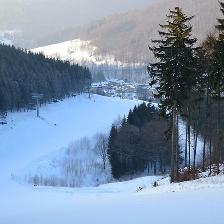 Apartmán Apartmán Pod Medvědí horou Loučná nad Desnou Exteriér fotografie