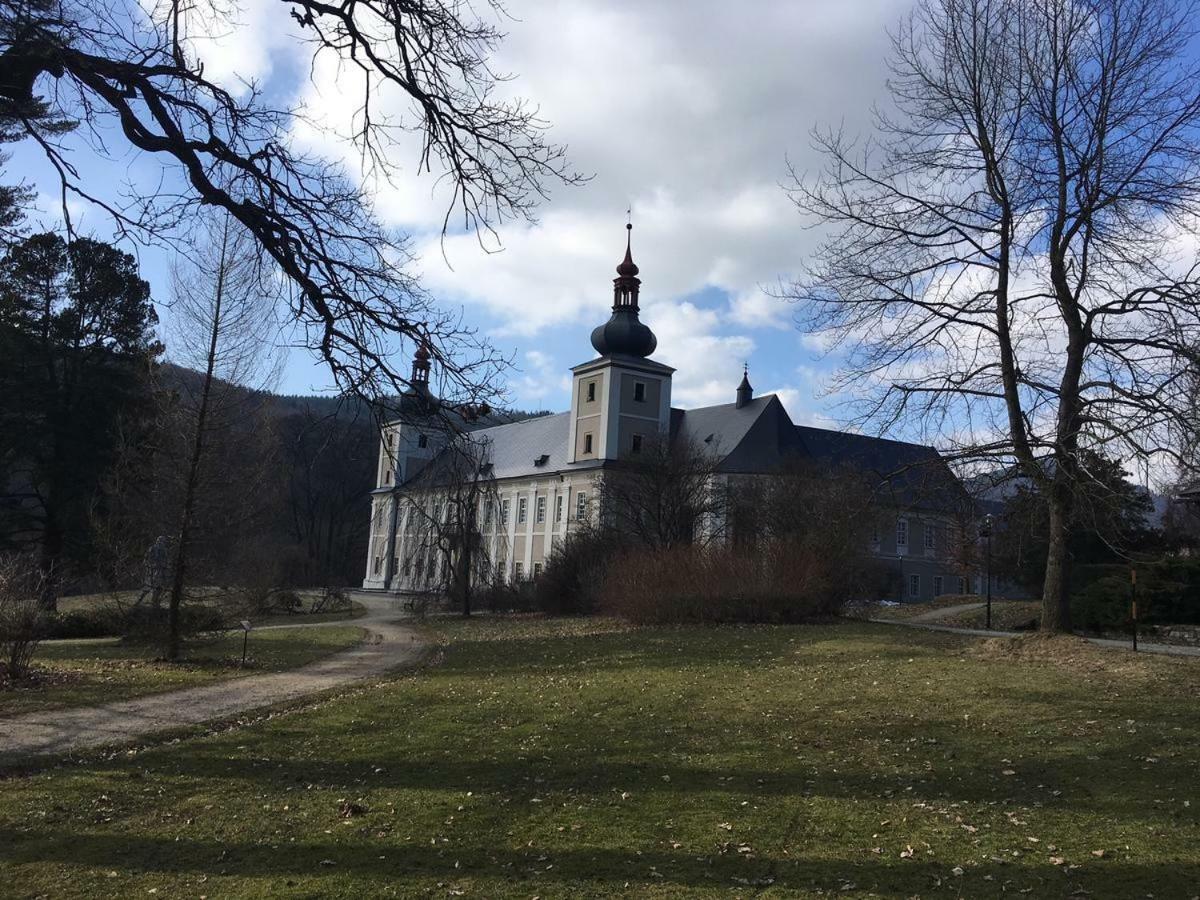 Apartmán Apartmán Pod Medvědí horou Loučná nad Desnou Exteriér fotografie