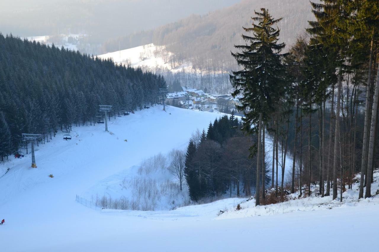 Apartmán Apartmán Pod Medvědí horou Loučná nad Desnou Exteriér fotografie