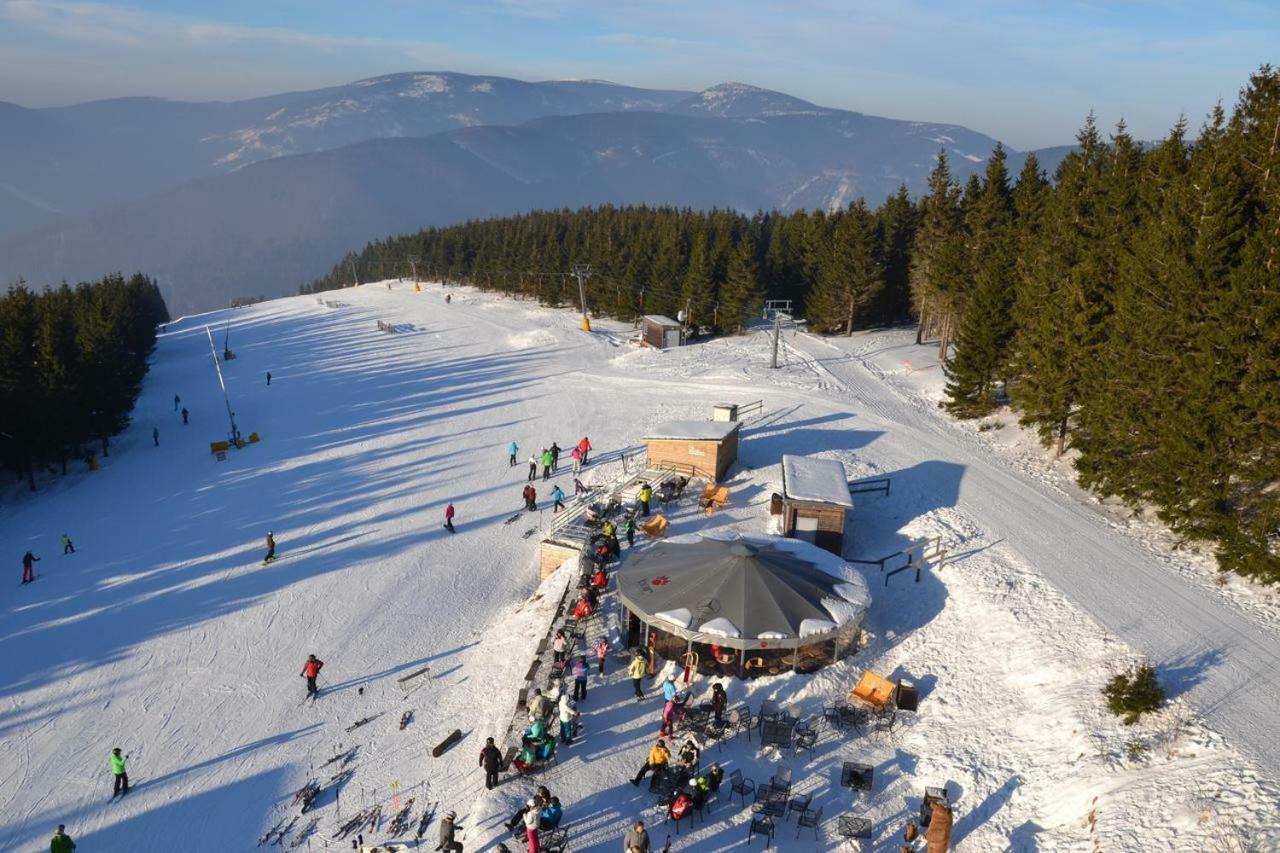 Apartmán Apartmán Pod Medvědí horou Loučná nad Desnou Exteriér fotografie